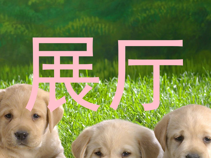 展厅