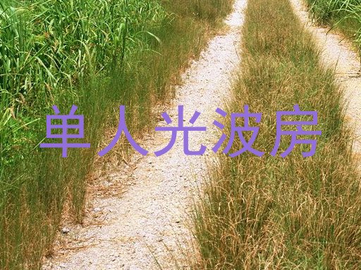 单人光波房