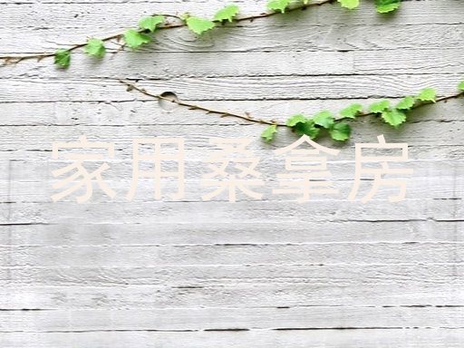 家用桑拿房