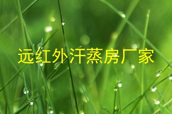 远红外汗蒸房厂家