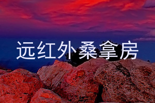 远红外桑拿房
