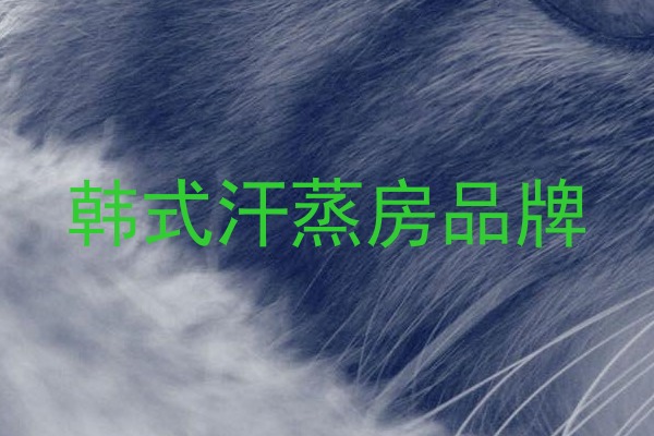 韩式汗蒸房品牌