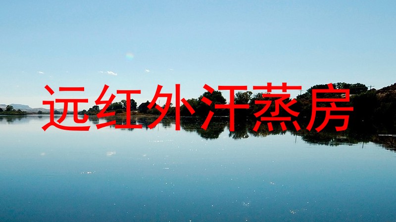 远红外汗蒸房
