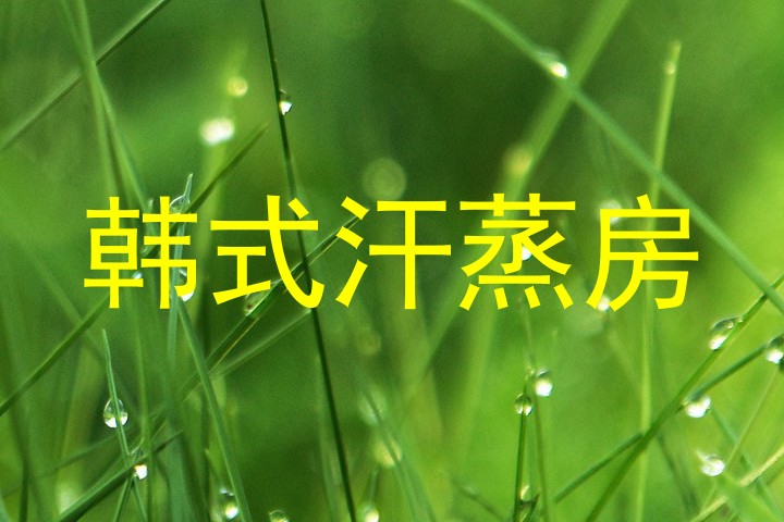韩式汗蒸房