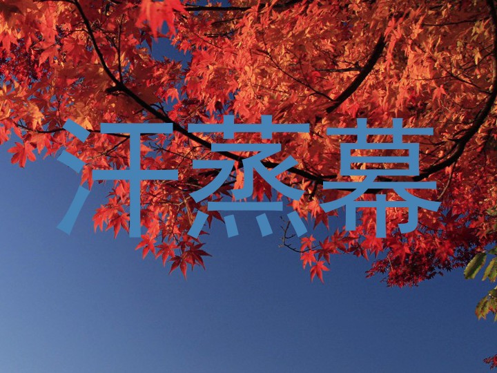 汗蒸幕
