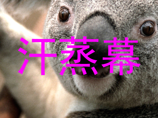 汗蒸幕