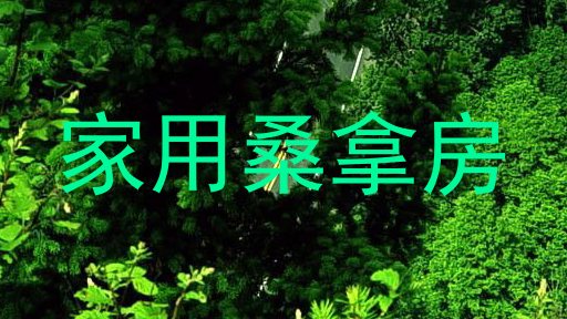 家用桑拿房