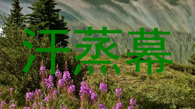 汗蒸幕