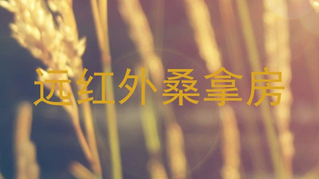 远红外桑拿房