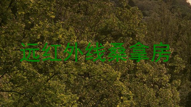 远红外线桑拿房