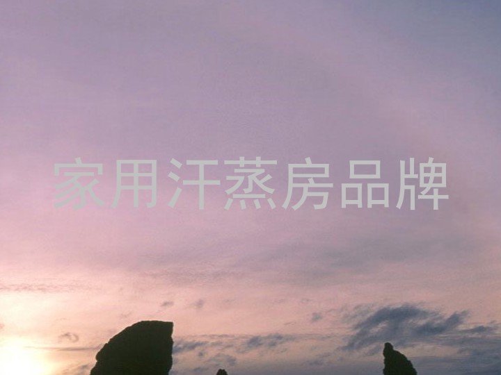 家用汗蒸房品牌