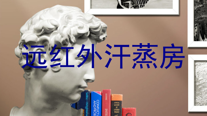 远红外汗蒸房