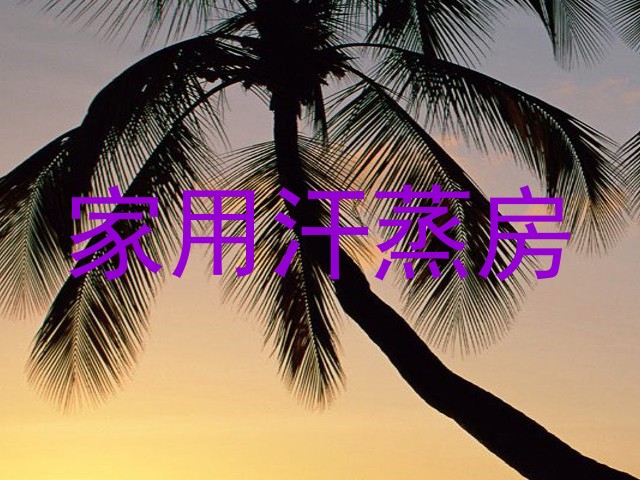 家用汗蒸房