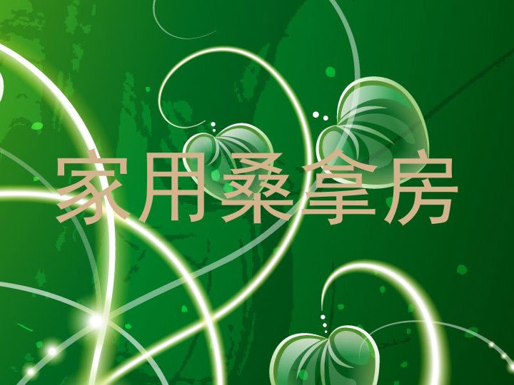 家用桑拿房