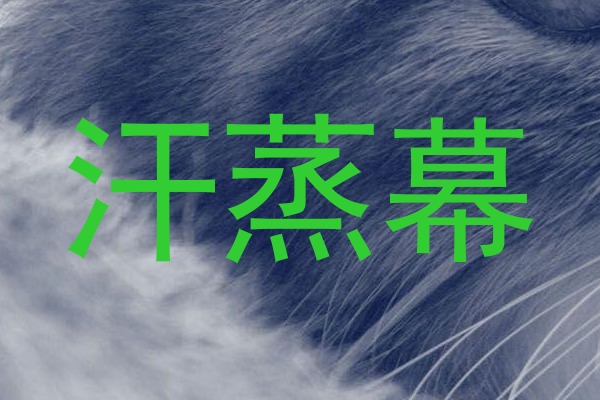 汗蒸幕