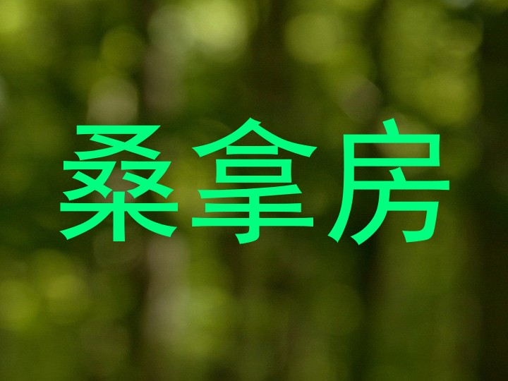 桑拿房