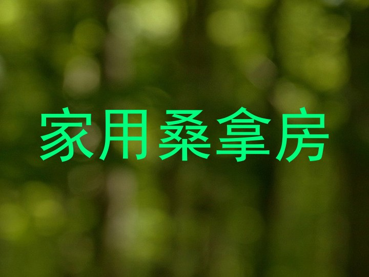 家用桑拿房