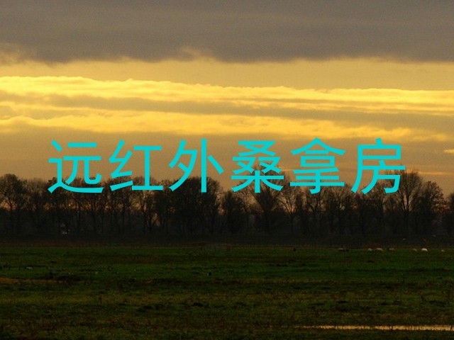 远红外桑拿房