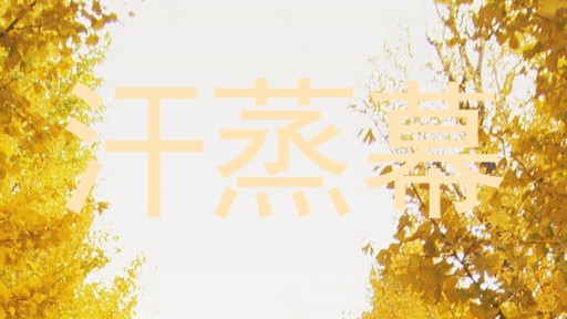 汗蒸幕
