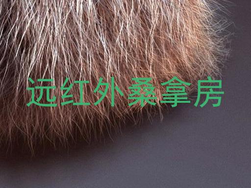 远红外桑拿房