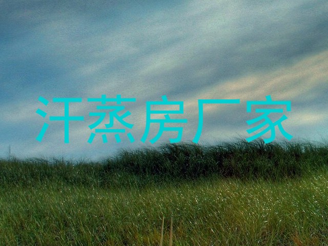 汗蒸房厂家