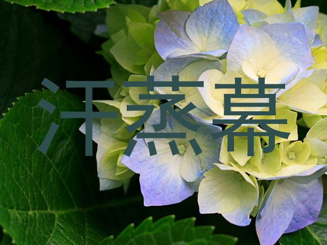 汗蒸幕