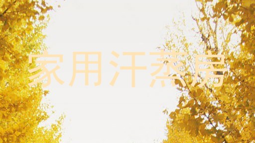 家用汗蒸房