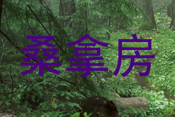 桑拿房