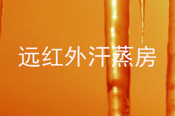 远红外汗蒸房