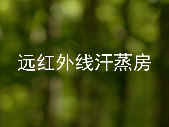 远红外线汗蒸房