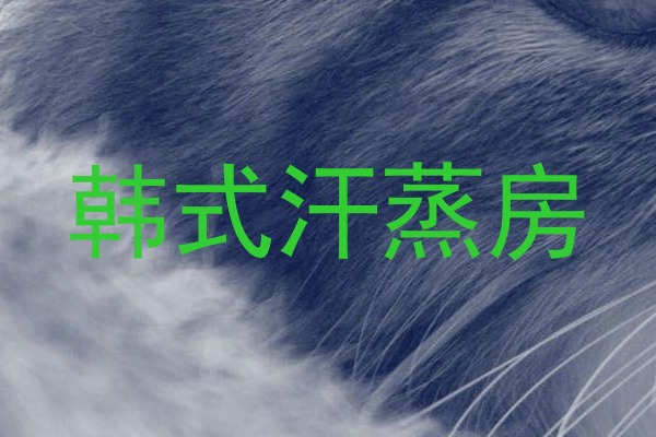 韩式汗蒸房