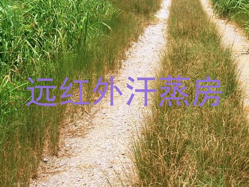 远红外汗蒸房