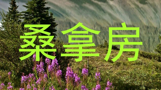 桑拿房