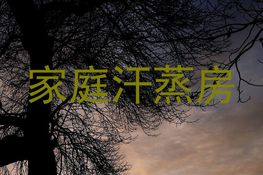 家庭汗蒸房