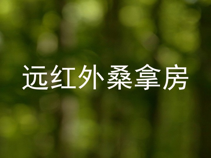 远红外桑拿房
