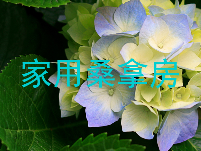 家用桑拿房