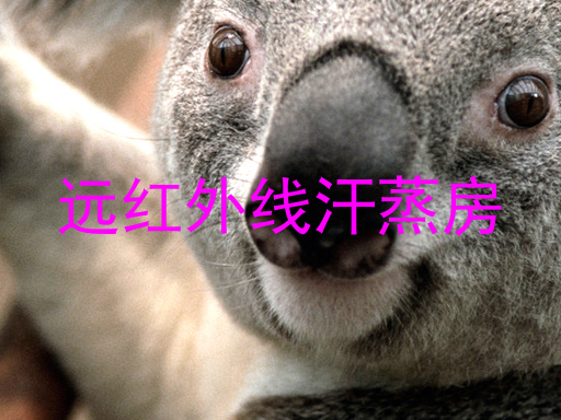 远红外线汗蒸房