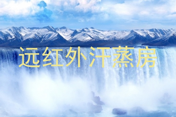 远红外汗蒸房