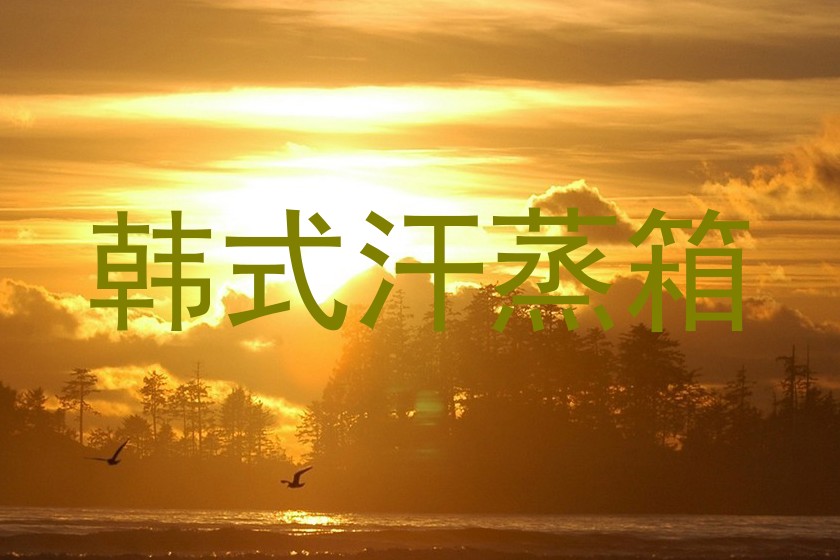 韩式汗蒸箱