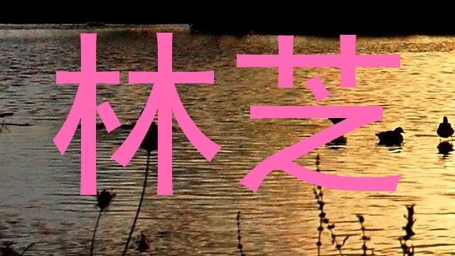 林芝