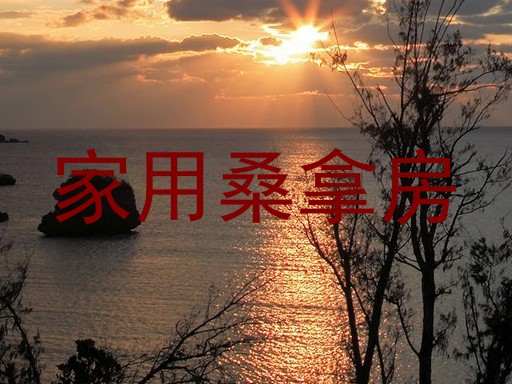 家用桑拿房