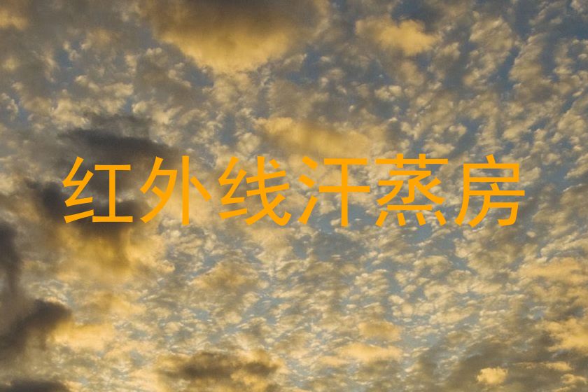 红外线汗蒸房