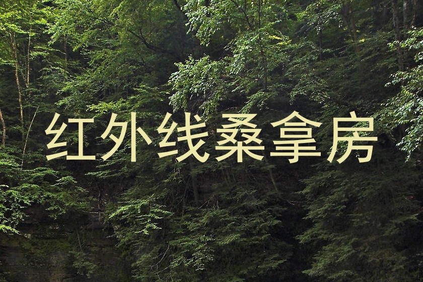 红外线桑拿房