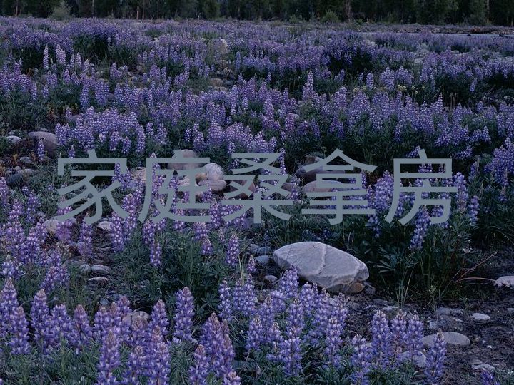 家庭桑拿房