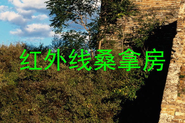 红外线桑拿房