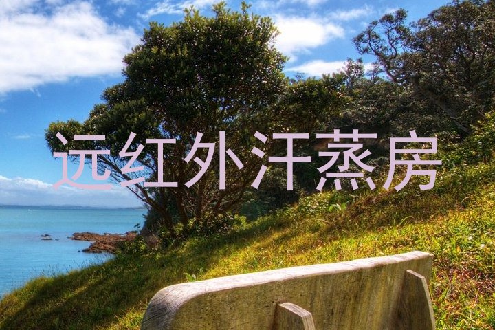 远红外汗蒸房