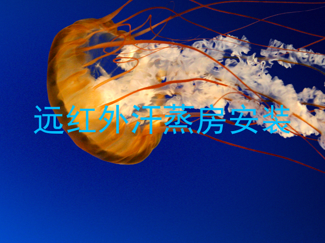 远红外汗蒸房安装