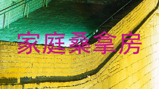 家庭桑拿房