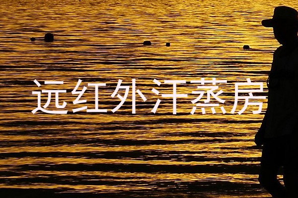 远红外汗蒸房