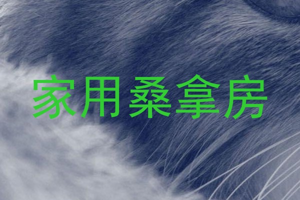 家用桑拿房